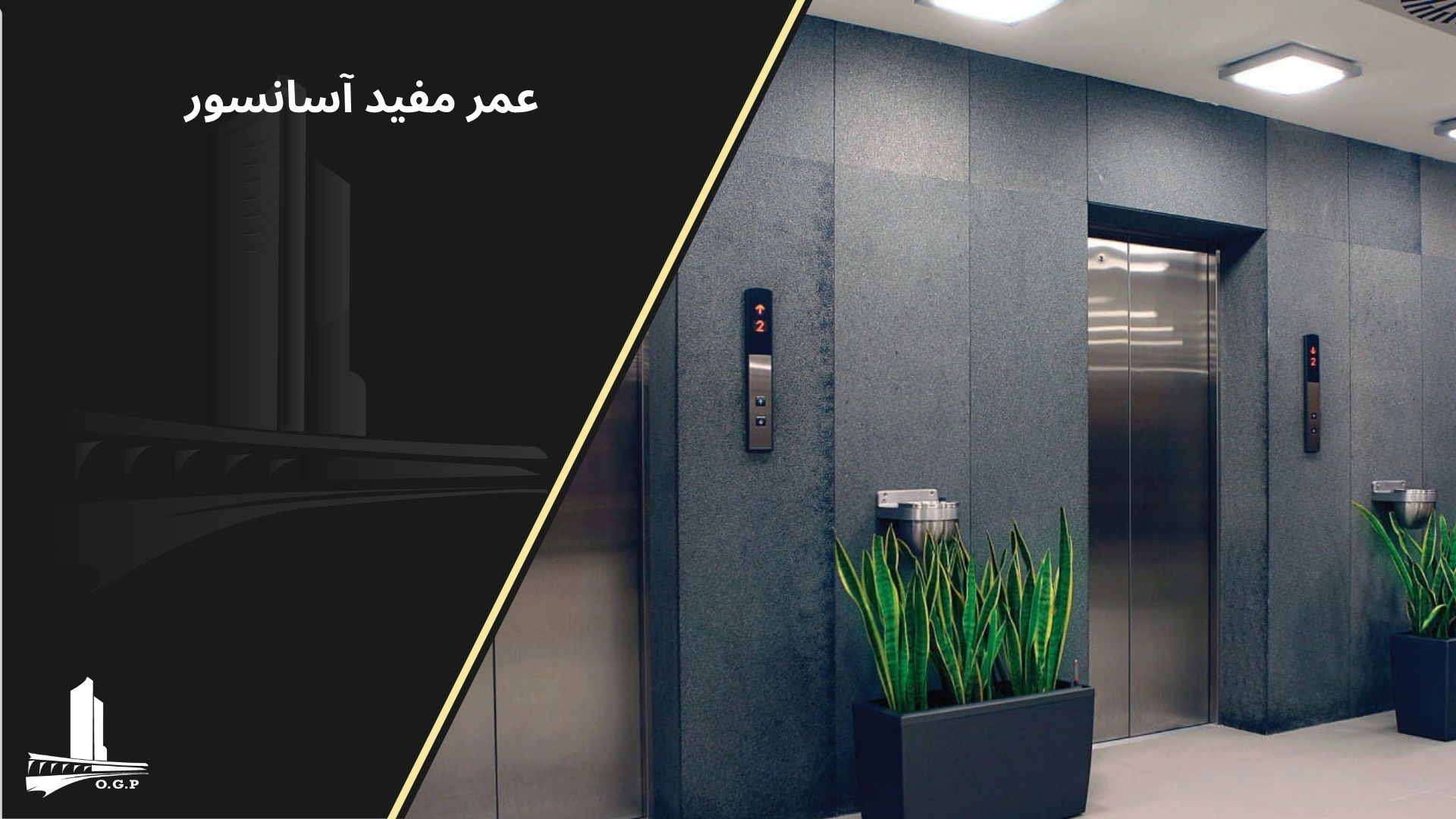 عمر متوسط آسانسور